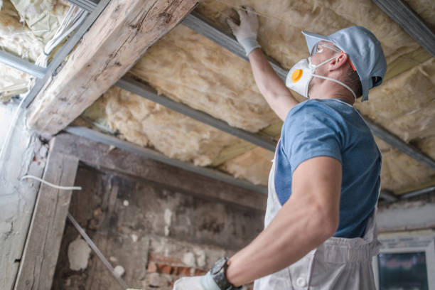 Best Geographic-Specific Insulation Services in Mcgraw, NY