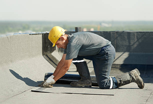 Best Eco-Friendly Insulation in Mcgraw, NY