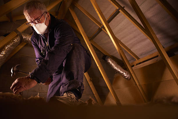 Best Spray Foam Insulation in Mcgraw, NY